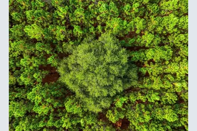 000 NW 78th Avenue, Newberry, FL 32669 - Photo 22