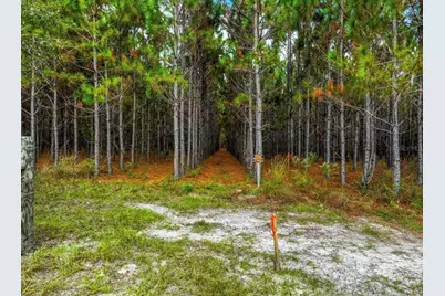 000 NW 78th Avenue, Newberry, FL 32669 - Photo 20