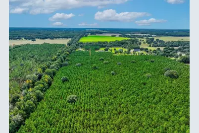 000 NW 78th Avenue, Newberry, FL 32669 - Photo 12