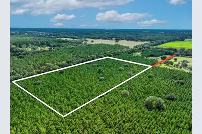 000 NW 78th Avenue, Newberry, FL 32669 - Photo 6