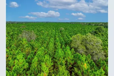 000 NW 78th Avenue, Newberry, FL 32669 - Photo 18