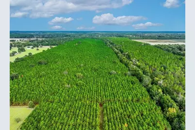 000 NW 78th Avenue, Newberry, FL 32669 - Photo 16