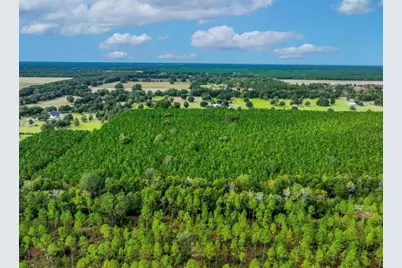 000 NW 78th Avenue, Newberry, FL 32669 - Photo 10