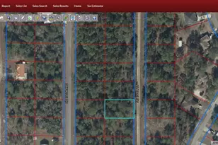 Tbd NE 150th Ct, Williston, FL 32696 - Photo 1