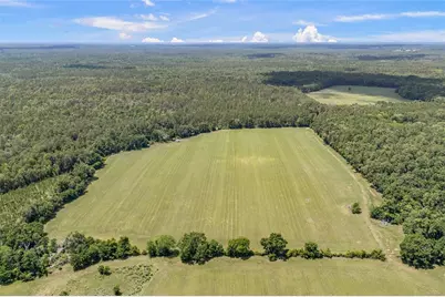 227th Drive, High Springs, FL 32643 - Photo 8