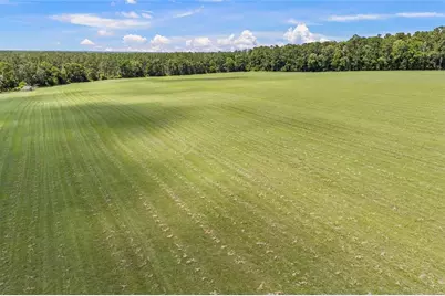 227th Drive, High Springs, FL 32643 - Photo 38