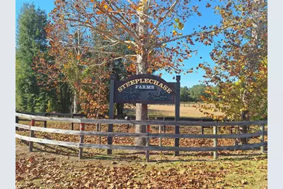 11851 SE 21st Place, Morriston, FL 32668 - Photo 30