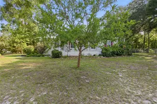 17231 NW 83rd Ct, Fanning Springs, FL 32693 - Photo 12