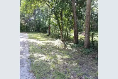 79 NE 242nd Avenue, Old Town, FL 32680 - Photo 14