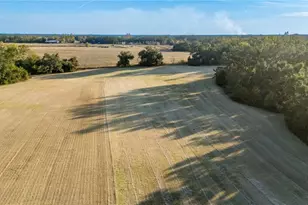 18708 County Road 250, Live Oak, FL 32060 - Photo 48