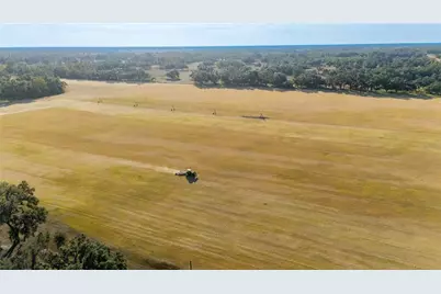 18708 County Road 250, Live Oak, FL 32060 - Photo 58