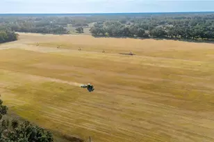 18708 County Road 250, Live Oak, FL 32060 - Photo 58