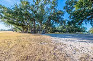 18708 County Road 250, Live Oak, FL 32060 - Photo 94