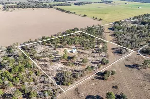 2190 NE 130th Ave, Williston, FL 32696 - Photo 38