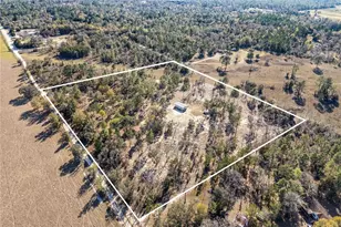 2190 NE 130th Ave, Williston, FL 32696 - Photo 42