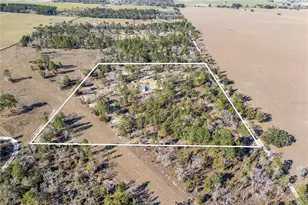 2190 NE 130th Ave, Williston, FL 32696 - Photo 32