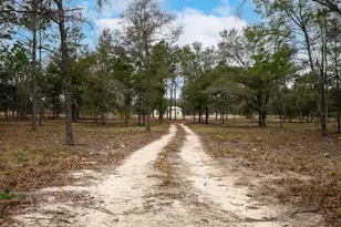 2190 NE 130th Ave, Williston, FL 32696 - Photo 8