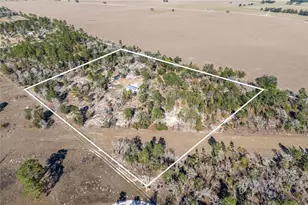 2190 NE 130th Ave, Williston, FL 32696 - Photo 34