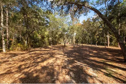 730 State Road 26, Melrose, FL 32666 - Photo 80