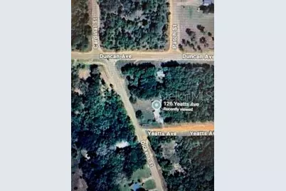 126 Yeatts Avenue, Interlachen, FL 32148 - Photo 1