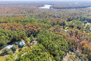 259 SE 373 St, Old Town, FL 32680 - Photo 22