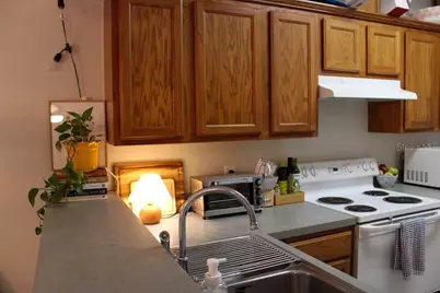 533 NW 50 Boulevard, Gainesville, FL 32607 - Photo 6