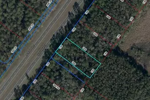 Tbd SE Hwy 19, Inglis, FL 34449 - Photo 1