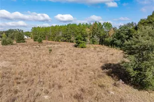 0 NW Milo Terrace, Lake City, FL 32055 - Photo 40