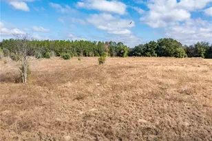 0 NW Milo Terrace, Lake City, FL 32055 - Photo 42