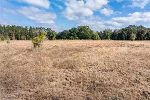 0 NW Milo Terrace, Lake City, FL 32055 - Photo 44