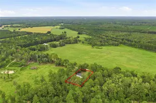 6671 SW 128th Ln, Lake Butler, FL 32054 - Photo 50