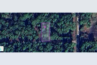 136 Hazel Avenue, Georgetown, FL 32139 - Photo 1