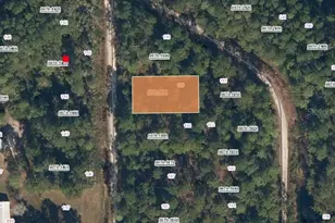 106 Mosswood St, Georgetown, FL 32139 - Photo 1