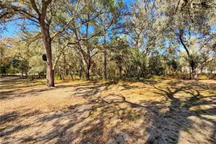 8191 NE 118 Terrace, Bronson, FL 32621 - Photo 18