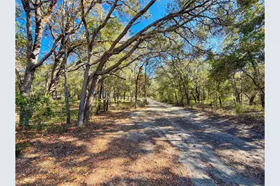 8191 NE 118th Terrace, Bronson, FL 32621 - Photo 12