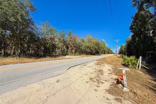 8191 NE 118 Terrace, Bronson, FL 32621 - Photo 20