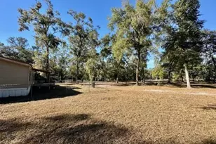 4969 NW 32nd Pl, Bell, FL 32619 - Photo 26