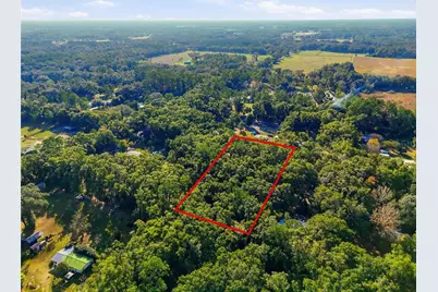 000 NE 40th Street, Williston, FL 32696 - Photo 4