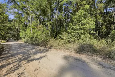 000 NE 40th Street, Williston, FL 32696 - Photo 10