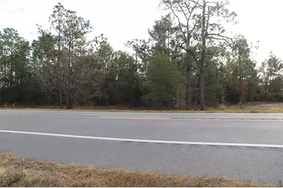 7049 State Road 21, Keystone Heights, FL 32656 - Photo 6