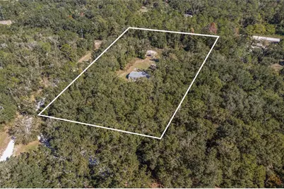 272 SW Old Niblack Avenue, Fort White, FL 32038 - Photo 2