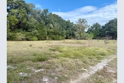 23915 NE State Rd 26, Melrose, FL 32666 - Photo 98