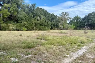 23915 NE State Rd 26, Melrose, FL 32666 - Photo 98