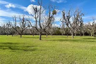 23915 NE State Rd 26, Melrose, FL 32666 - Photo 40