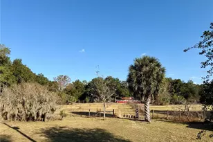 23915 NE State Rd 26, Melrose, FL 32666 - Photo 1