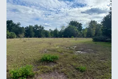23915 NE State Rd 26, Melrose, FL 32666 - Photo 100