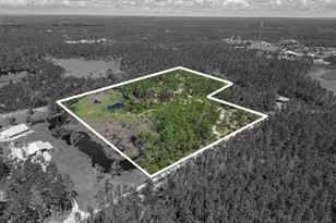 501 Duncan Ln NE, Steinhatchee, FL 32359 - Photo 46