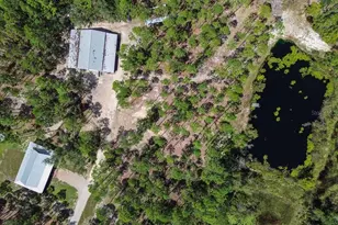 501 Duncan Ln NE, Steinhatchee, FL 32359 - Photo 42