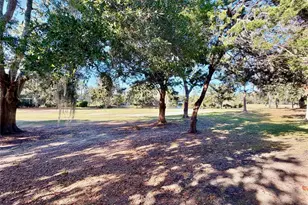 6508 NW 109th Pl, Alachua, FL 32615 - Photo 20