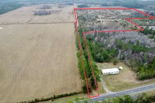 Tbd Cr 235, Brooker, FL 32622 - Photo 2